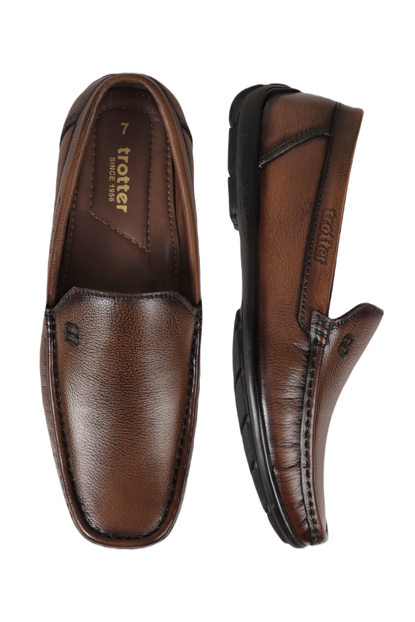Trotter 1102 Turmuk Sapodilla