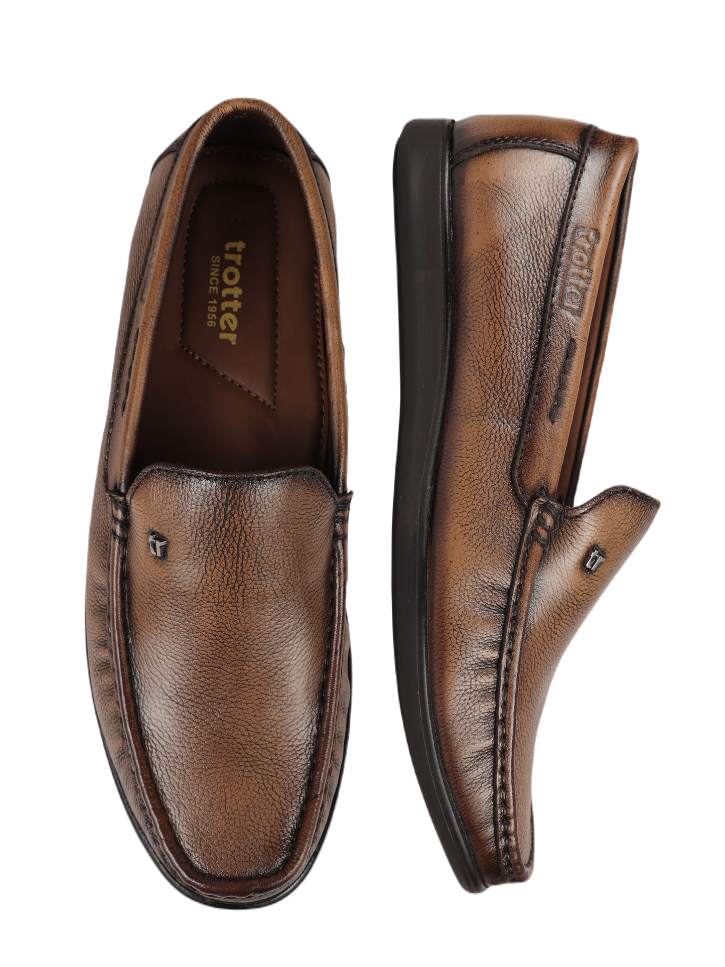 Trotter 1602 Turmuk Sapodilla