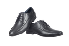 Trotter 2605 Black Lace up formals