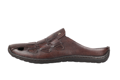 Trotter 01210 Mule sandal Brown